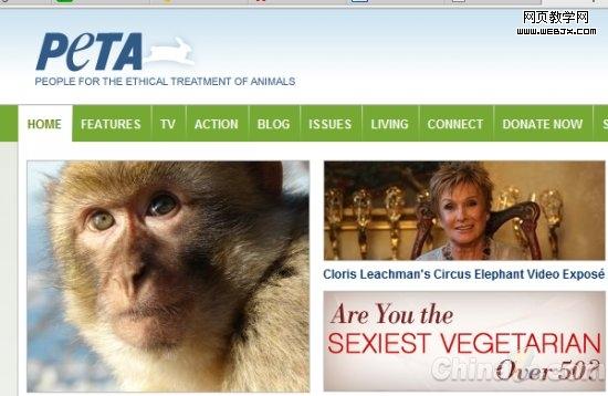 ƴ֯PETA