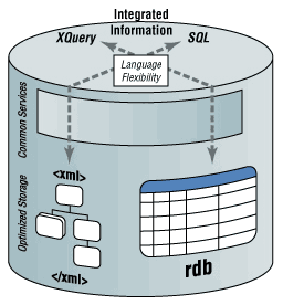 DB2  XML ϵ洢ģ