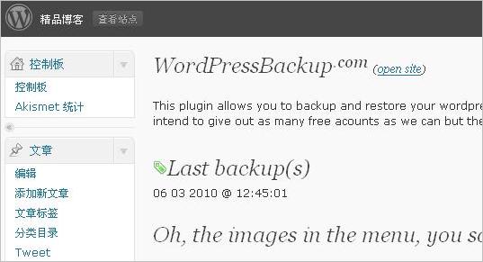 WordPress backup