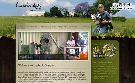 Landbruck 11 grass based website designs