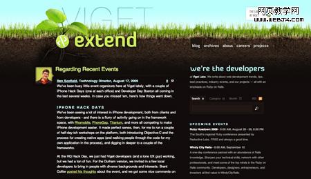 Viget Extend