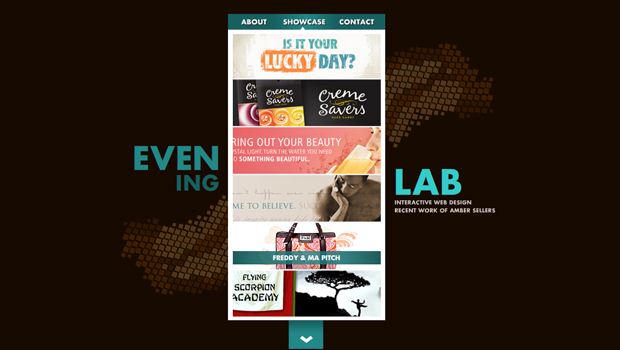 Evening Lab Portfolio  Design