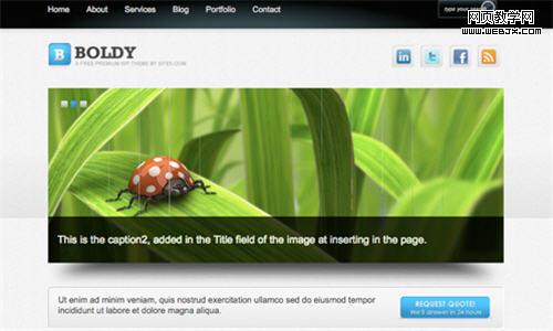 Free WordPress 3x Theme