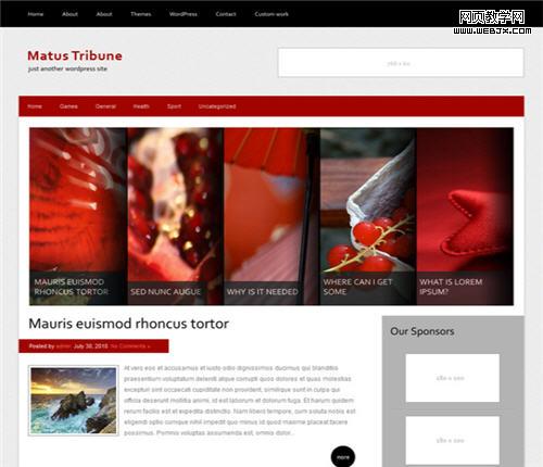 Free WordPress 3x Theme