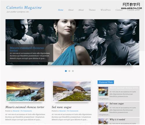 Free WordPress 3x Theme