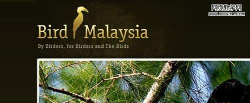 Bird Malaysia