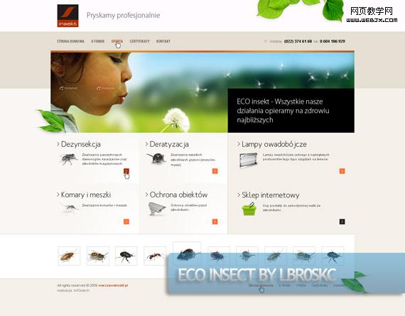 eco-insect-creative-web-design-layout-inspiration