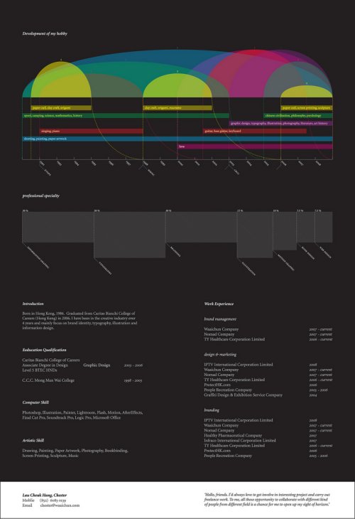 Curriculum_Vitae_by_bulooji10