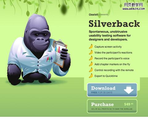 Silverback