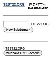 subdomain wildcard dns records MyDomain DNS񣬰ҳתַʼתַDNS趨