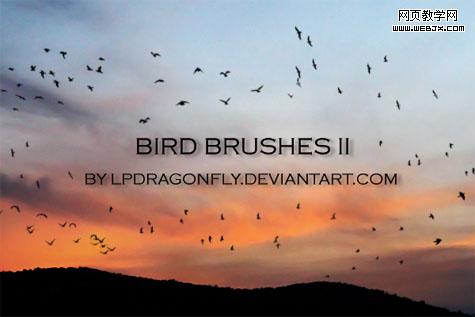 Bird Brushes II