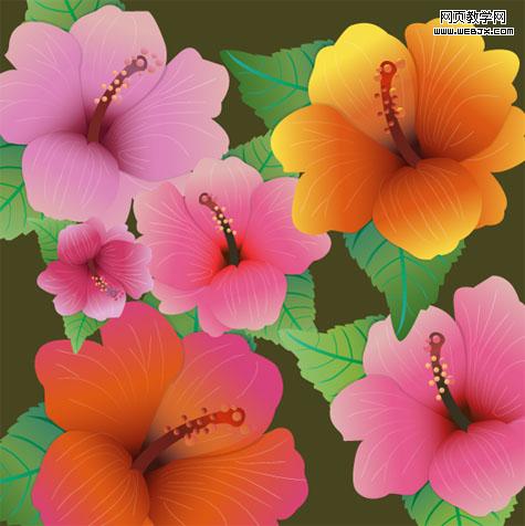 Hibiscus Flowers